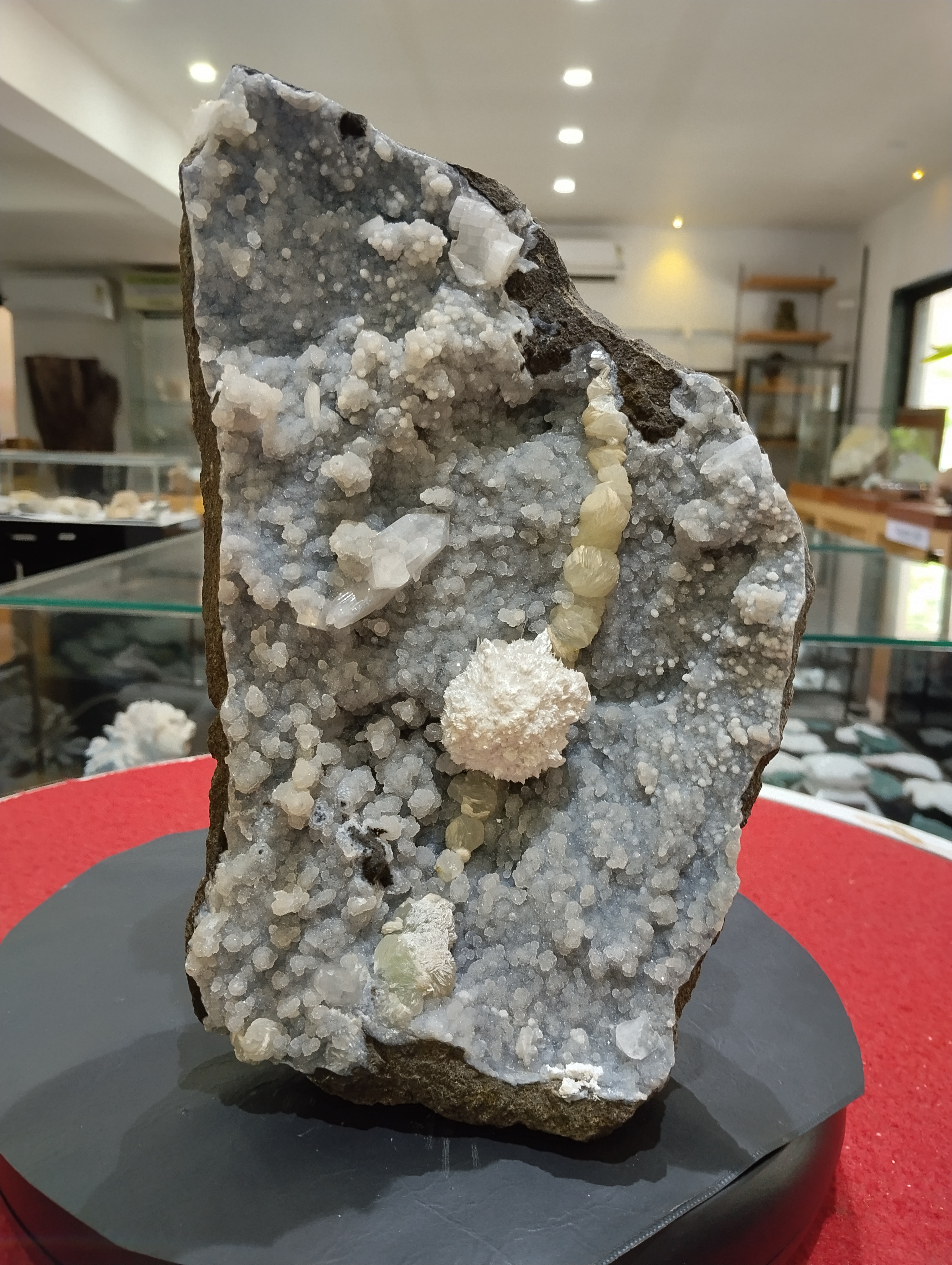 Natural Chalcedony with Calcite Crystal Formation

✨ A breathtaking display of nature’s artistry, this crystal slab features a sparkling Chalcedony druzy surface adorned with unique Calcite crystal growths, creating a truly one-of-a-kind masterpiece for collectors and crystal lovers.

Appearance &amp; Structure

The stone is a tall, upright slab with a rough natural base and a dazzling surface encrusted with tiny druzy Chalcedony crystals.

At the center, a striking flower-like Calcite rosette blooms, resembling a delicate snowball formation.

A vertical line of pearl-like Calcite spheres runs across the surface, adding depth and visual flow.

Scattered throughout are well-formed Calcite points and globules, enhancing the contrast between soft sparkle and bold crystal growth.
