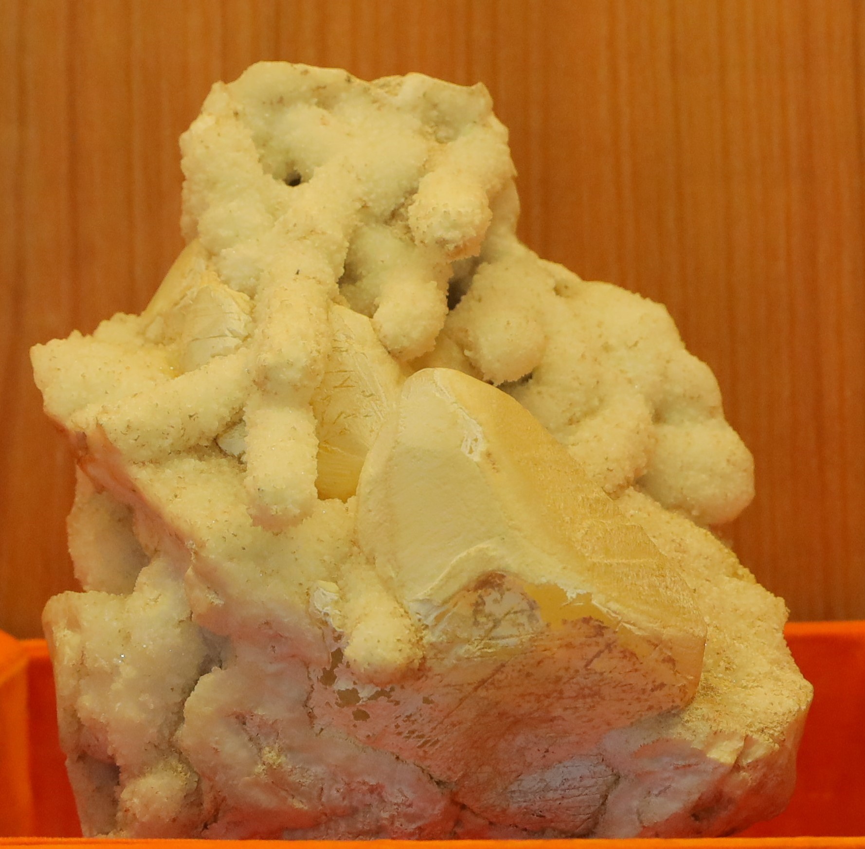 7 Trunk Ganesha – Natural Stone Formation

This rare and fascinating mineral specimen resembles Lord Ganesha in a naturally formed design. The most striking feature is its seven trunk-like extensions, which appear prominently across the surface of the stone. These trunks emerge in various curved and elongated patterns, giving it a distinctly divine and mystical appearance.

Shape &amp; Structure:

The stone is an irregular mass, with a natural base that provides a stable foundation for display.

Multiple cylindrical, elongated projections extend outward in different directions, closely resembling trunks of Lord Ganesha.

The central portion of the stone forms a more solid and defined structure, resembling the body of Ganesha, while the protruding trunks enhance its symbolic uniqueness.