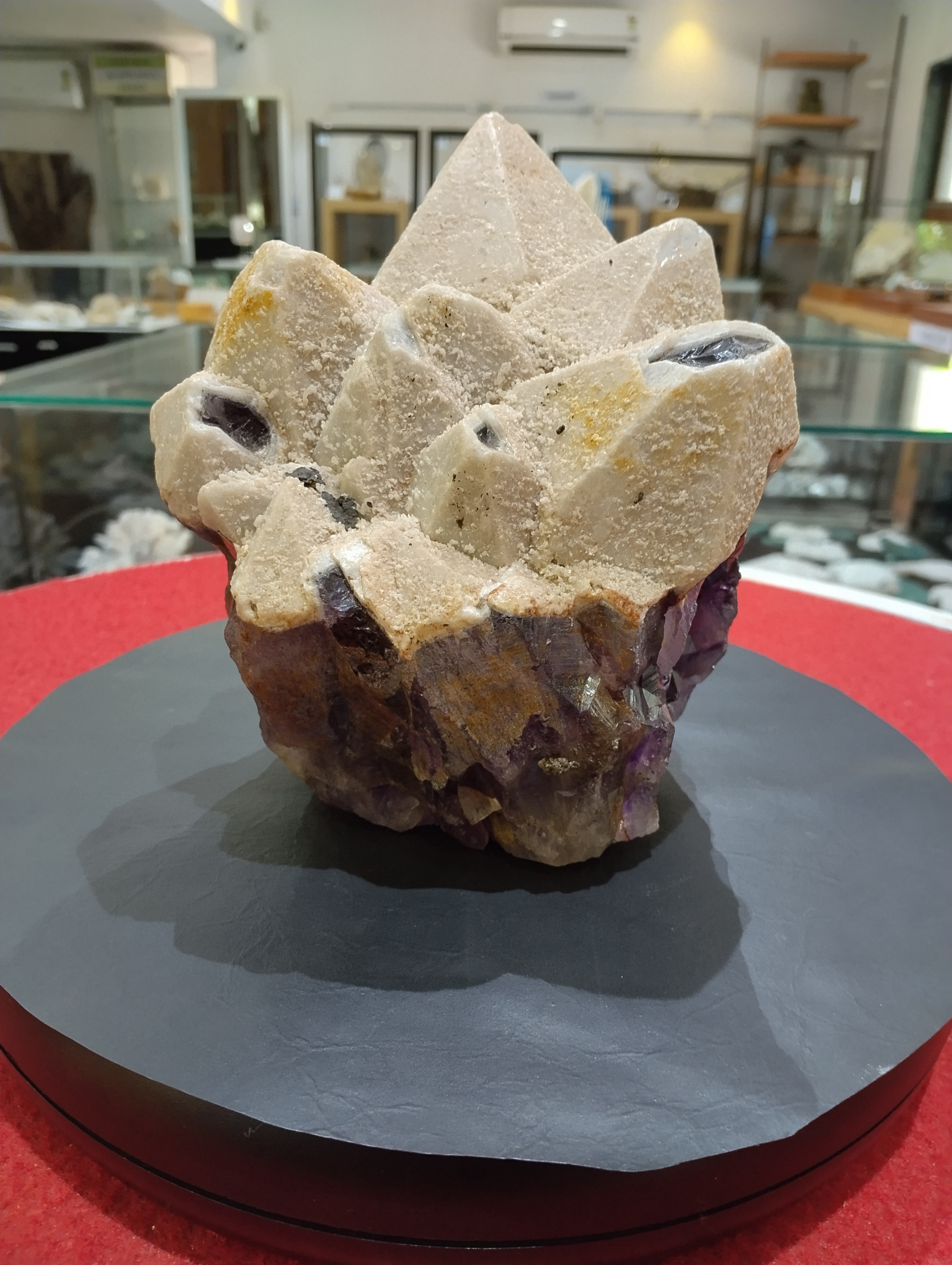 Natural Amethyst with Calcite Crystal Cluster

✨ A mesmerizing masterpiece of nature, this crystal cluster combines the grounding beauty of Calcite with the spiritual elegance of Amethyst, making it a rare and powerful specimen for collectors and crystal enthusiasts.
Appearance &amp; Shape
The cluster features multiple pyramid-like Calcite points rising upward in perfect symmetry, symbolizing strength, clarity, and stability.
At the base, the stone reveals a rich layer of deep purple Amethyst crystals, creating a stunning contrast with the creamy beige Calcite above.
Natural inclusions and mineral coatings give the stone a textured look, enhancing its raw, untouched charm.
The overall formation resembles a lotus-like bloom, radiating beauty and positivity from every angle.