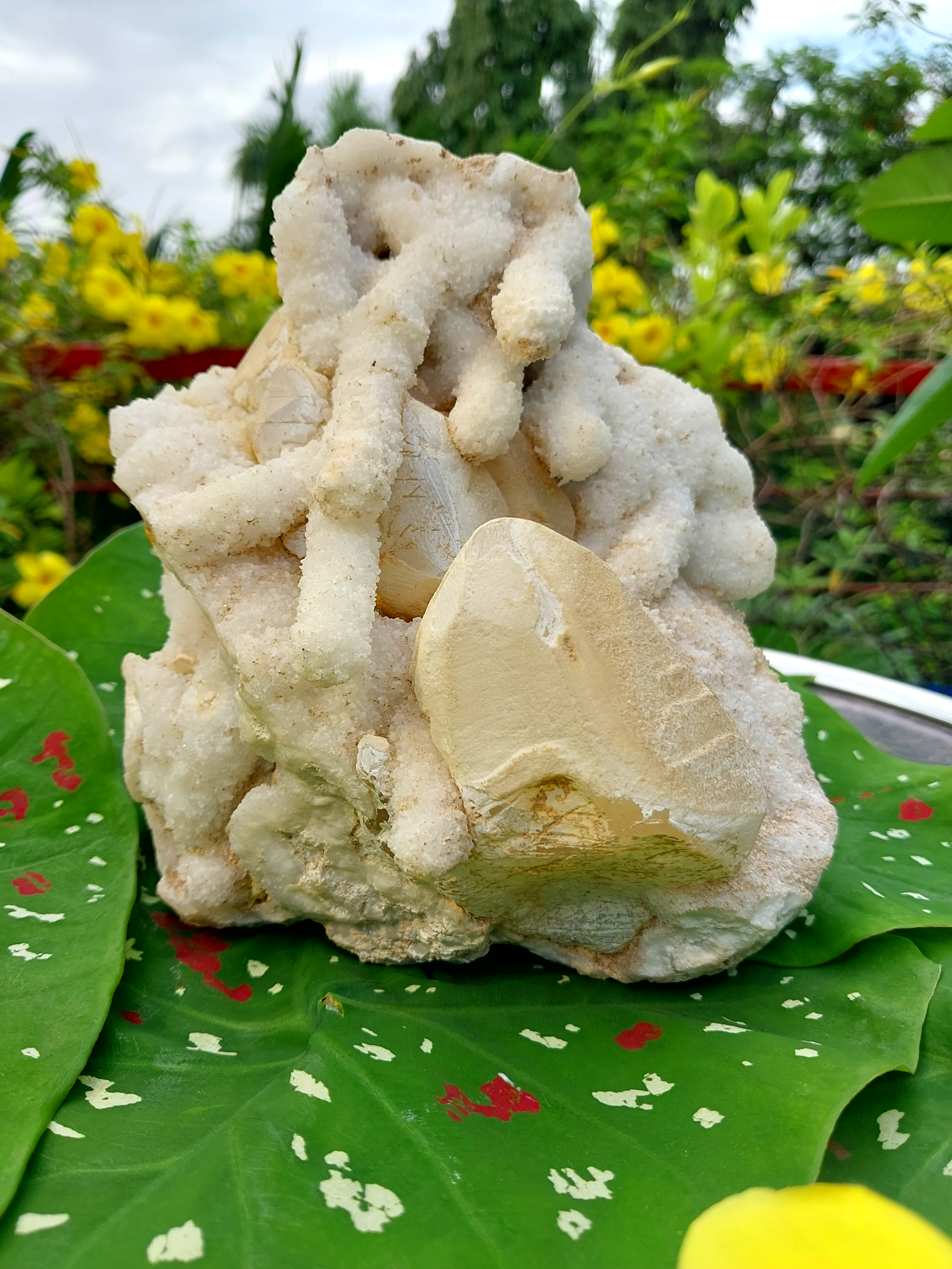 stone