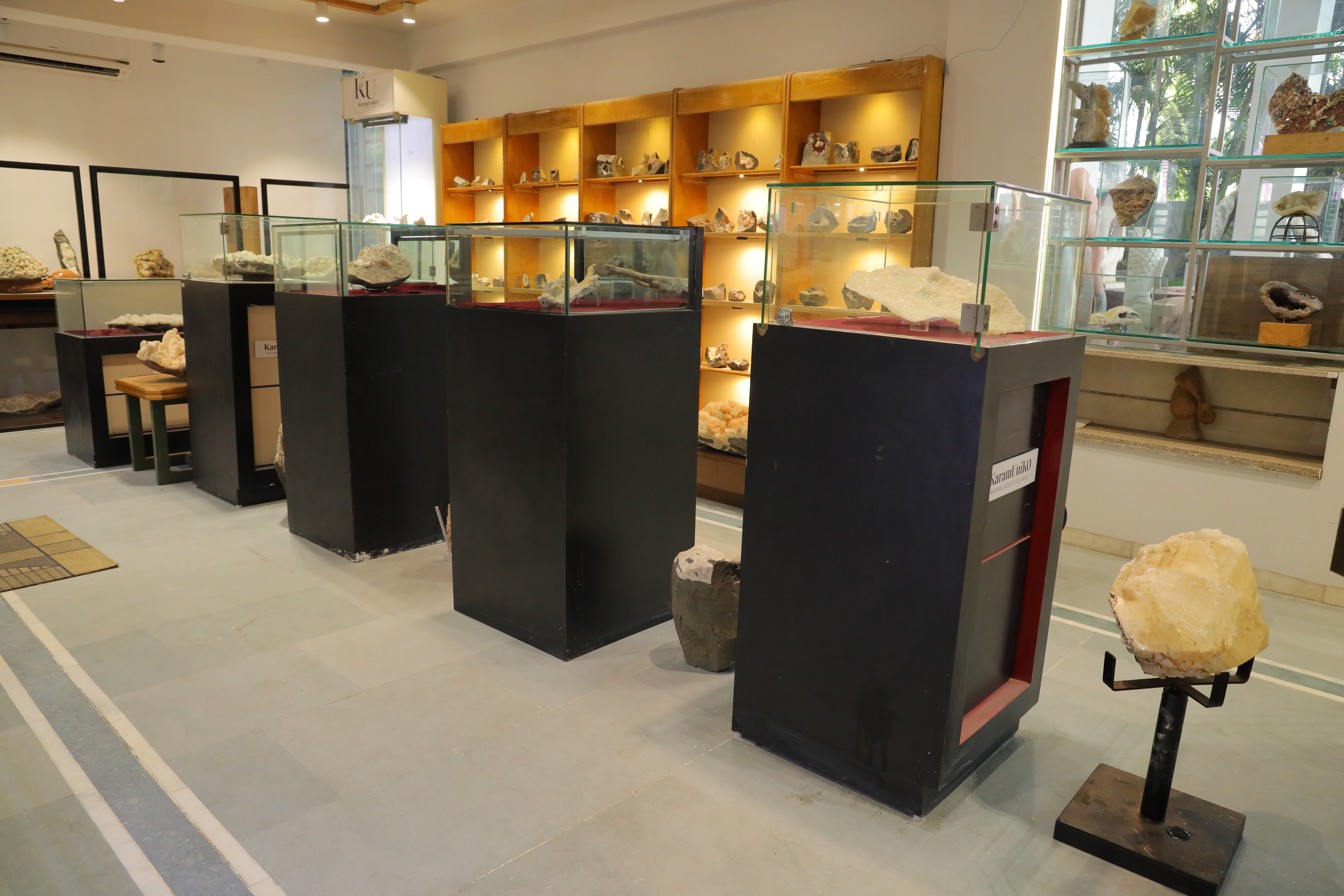Display Case